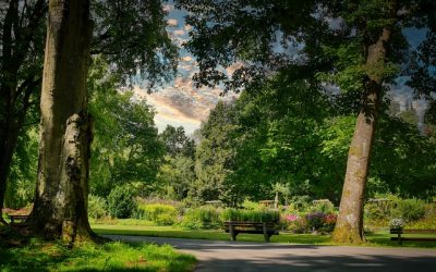 Immobilien in Bad Wörishofen: Der perfekte Ort für den Kauf und Verkauf